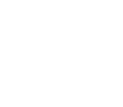 The Old Country Store